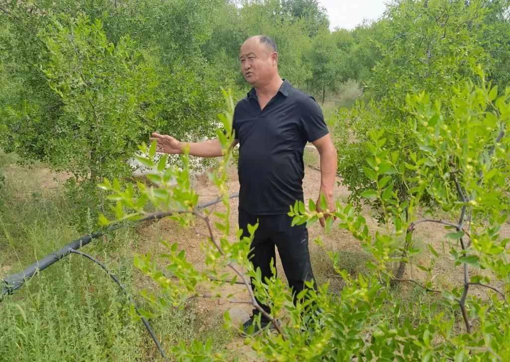 圖片關(guān)鍵詞 圖片