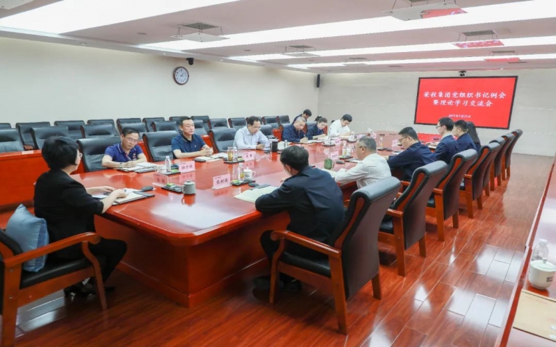 黨建引領(lǐng) 凝心聚力 榮程集團召開黨組織書記例會暨理論學(xué)習交流會