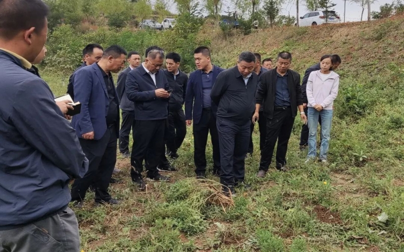 天水市政協(xié)副主席、清水縣委書記馬越垠到“榮程百草莊園”中藥材試驗基地調(diào)研中草藥產(chǎn)業(yè)發(fā)展工作