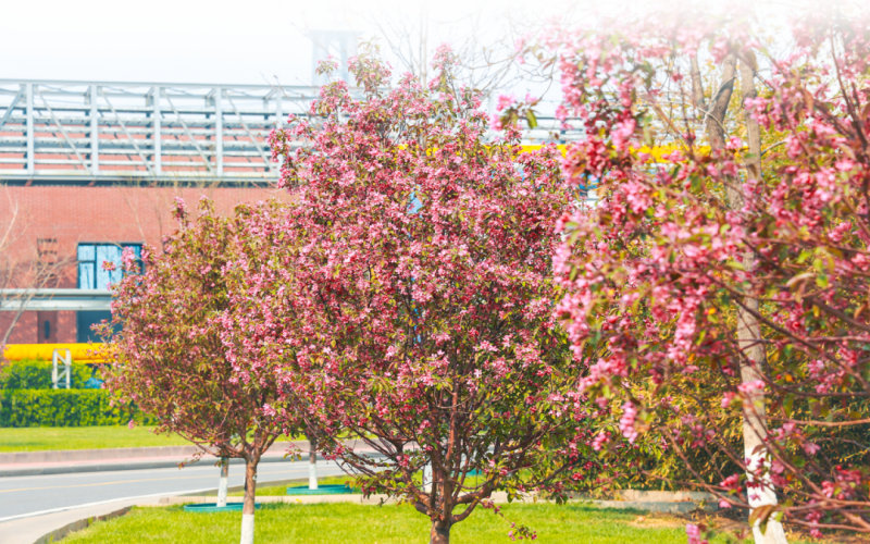 榮程視覺(jué) - 來(lái)，一起走進(jìn)春天里的榮程鋼鐵